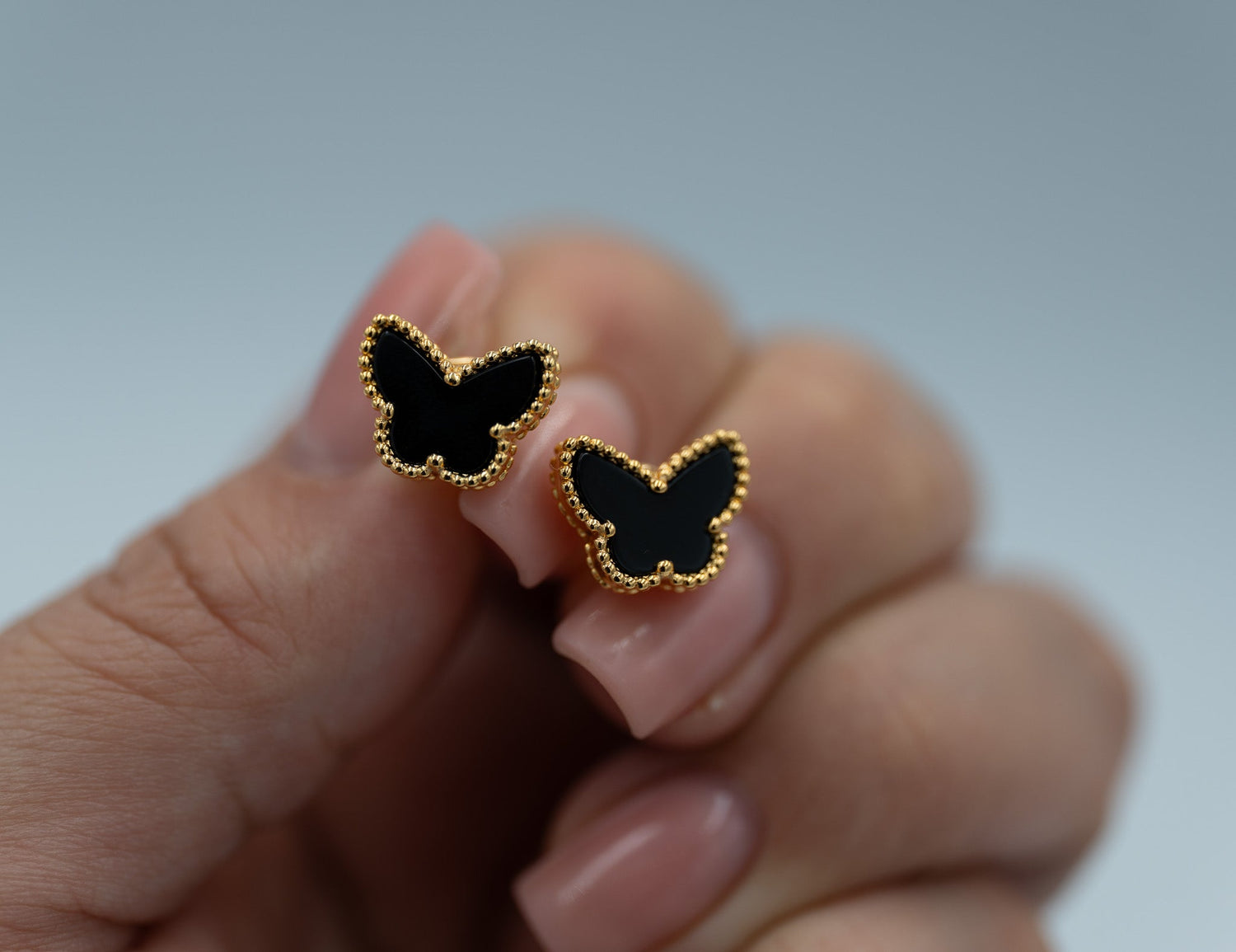 VCA Butterfly